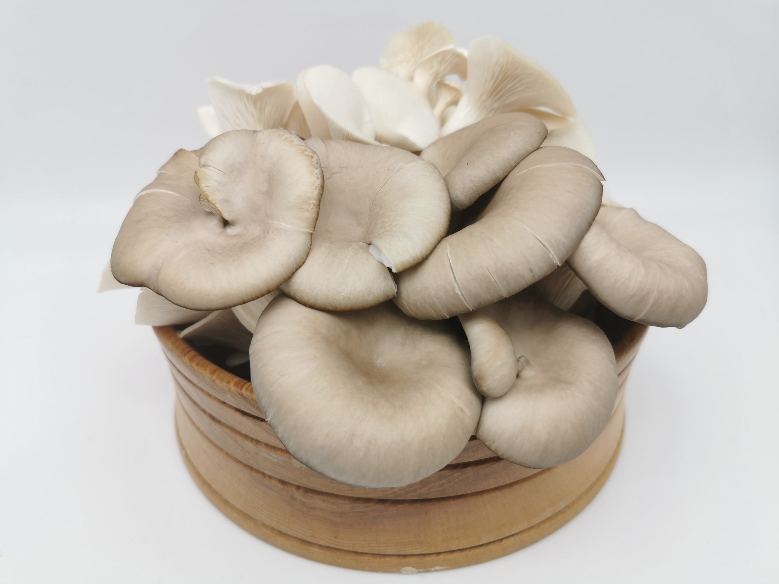 canned straw mushroom (stem, skin, peeled