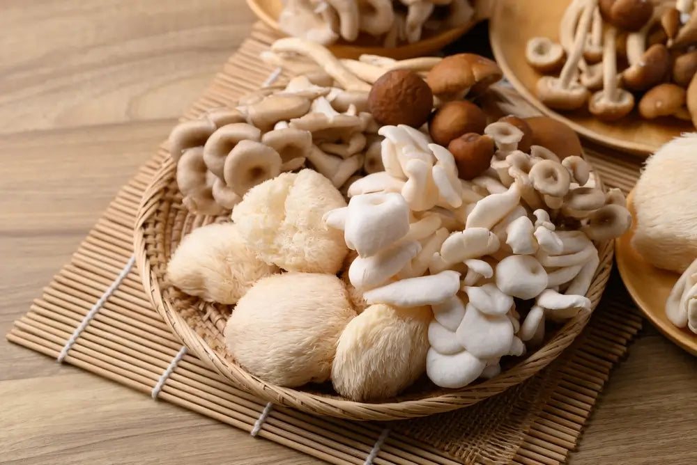 Why lion's mane should be a regular part of your vegan diet