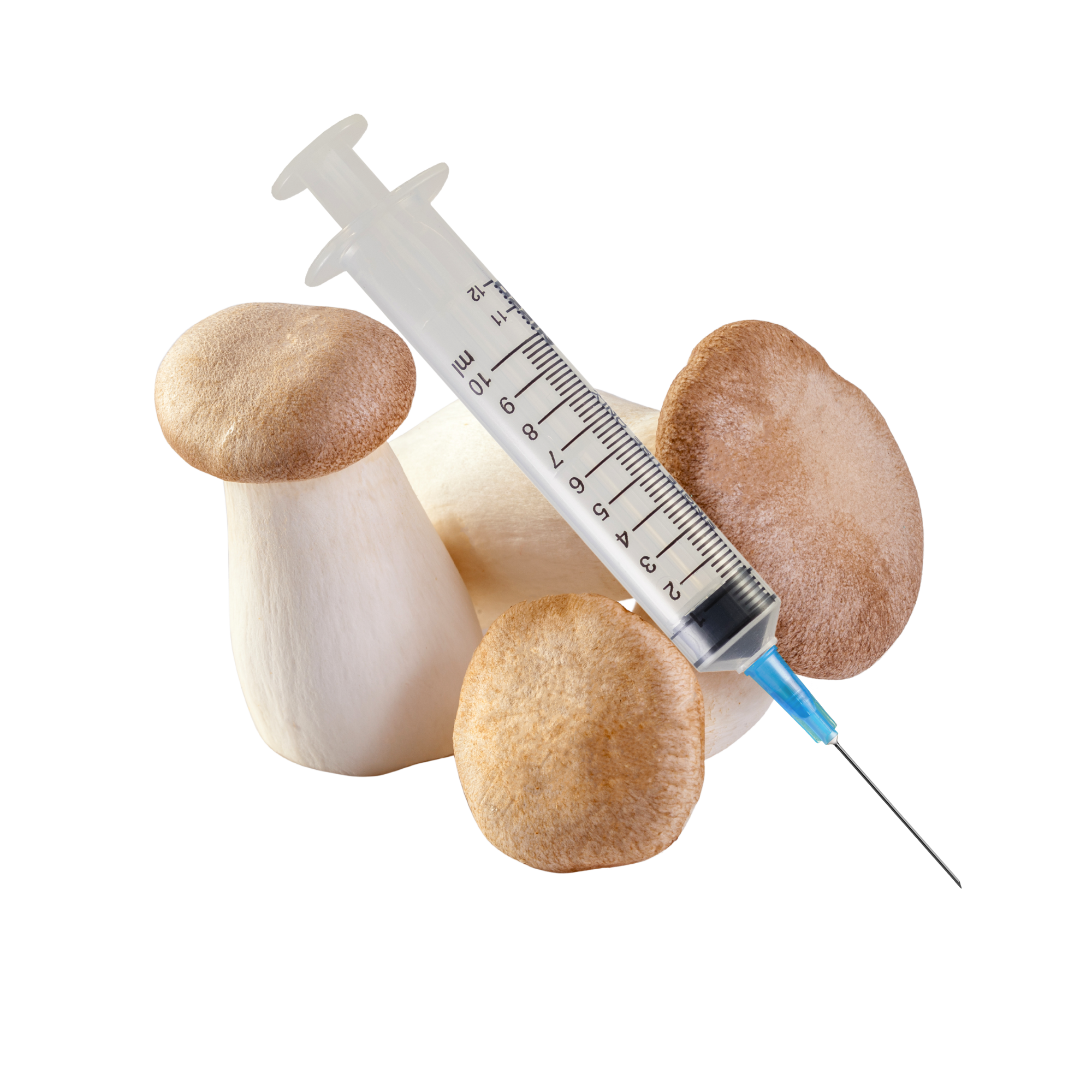 Mushroom Liquid Cultures