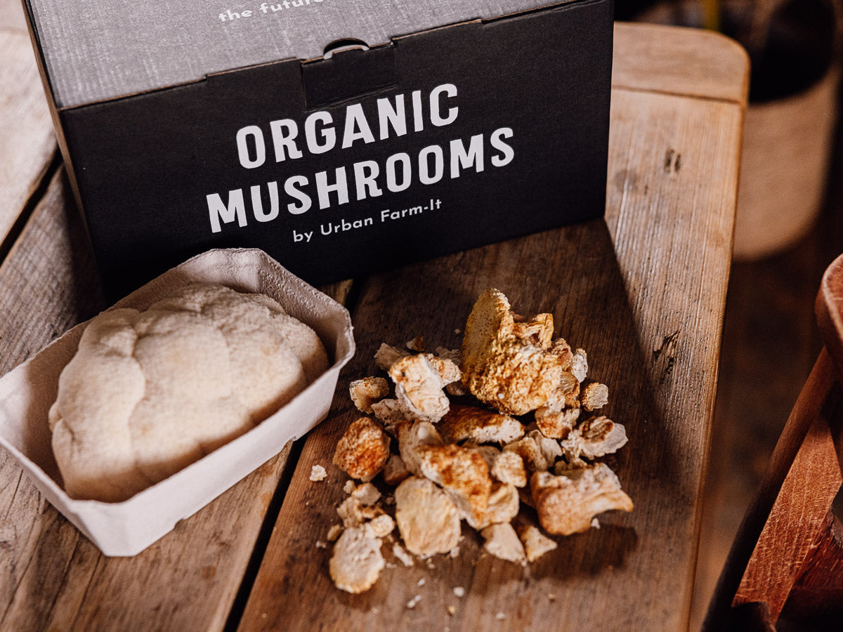 Mushroom Produce