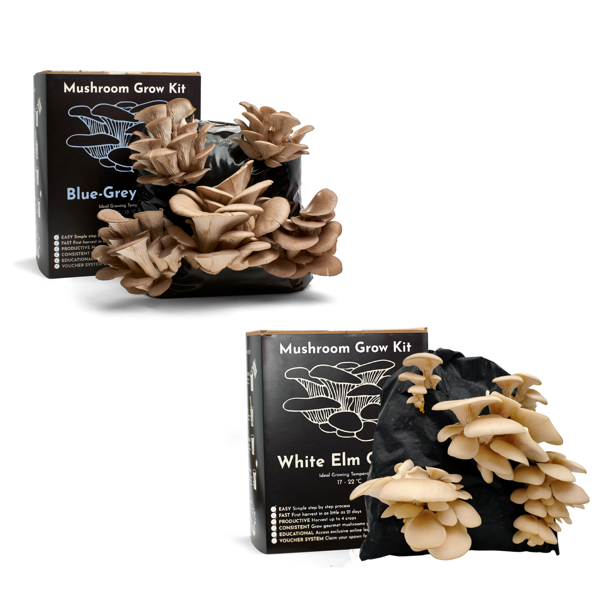 Twin Veil Premium Cooling Cotton Undercap - Mushroom
