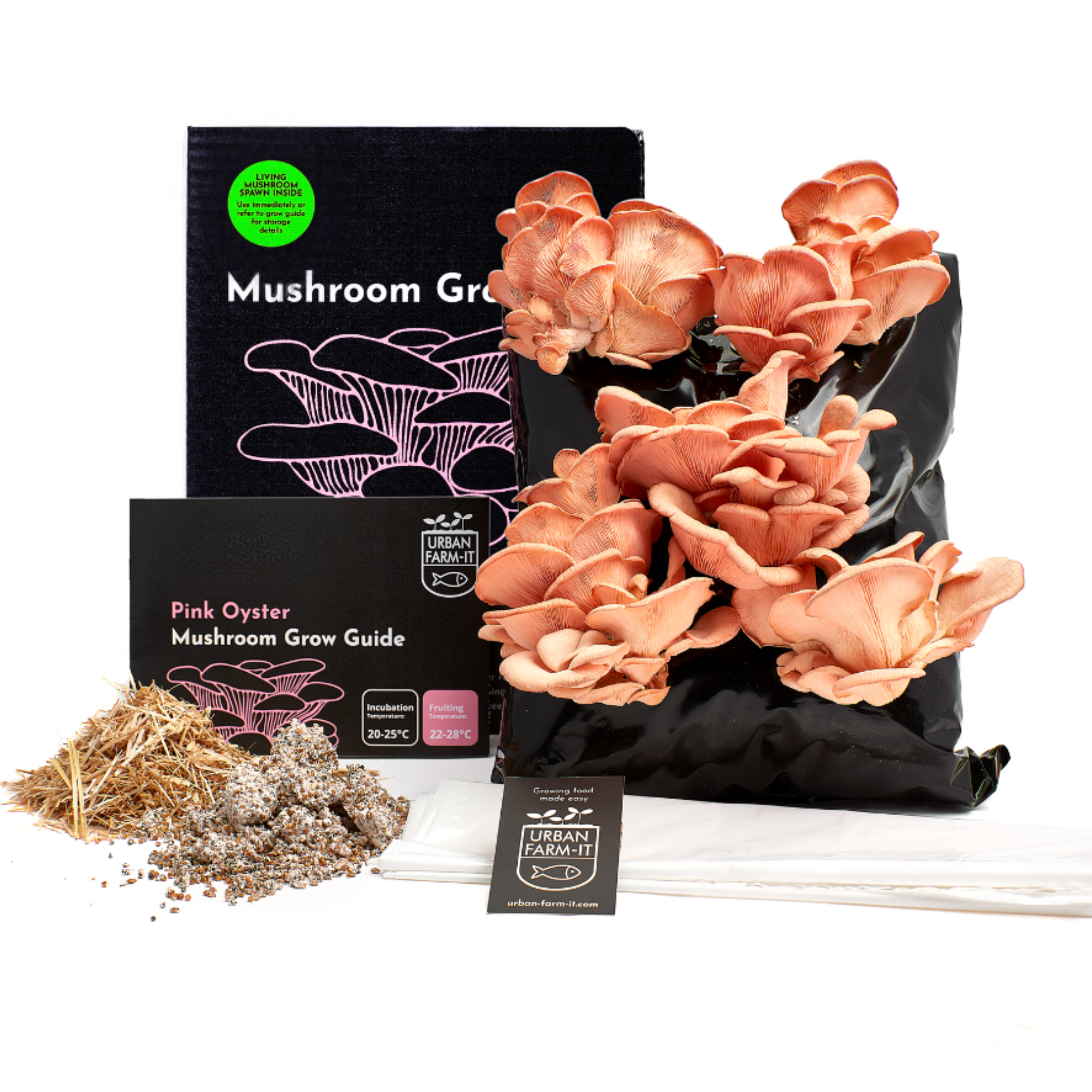 Pink Oyster Mushroom Growing Kit