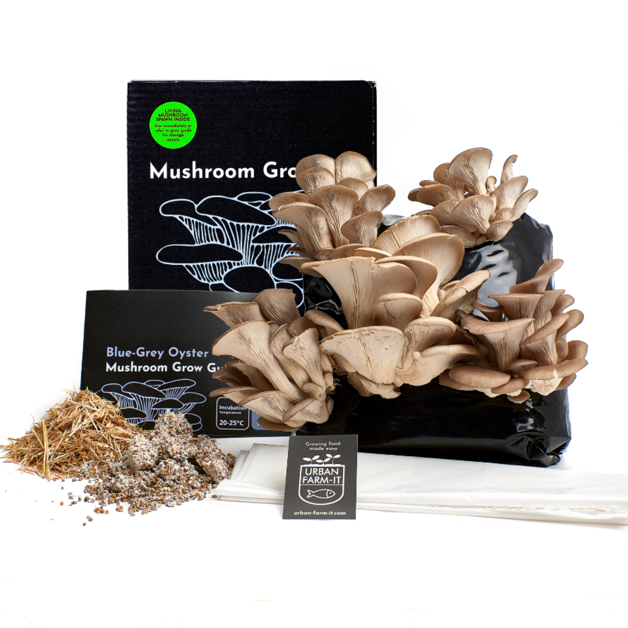 Blue-Grey Oyster Mushroom Growing Kit