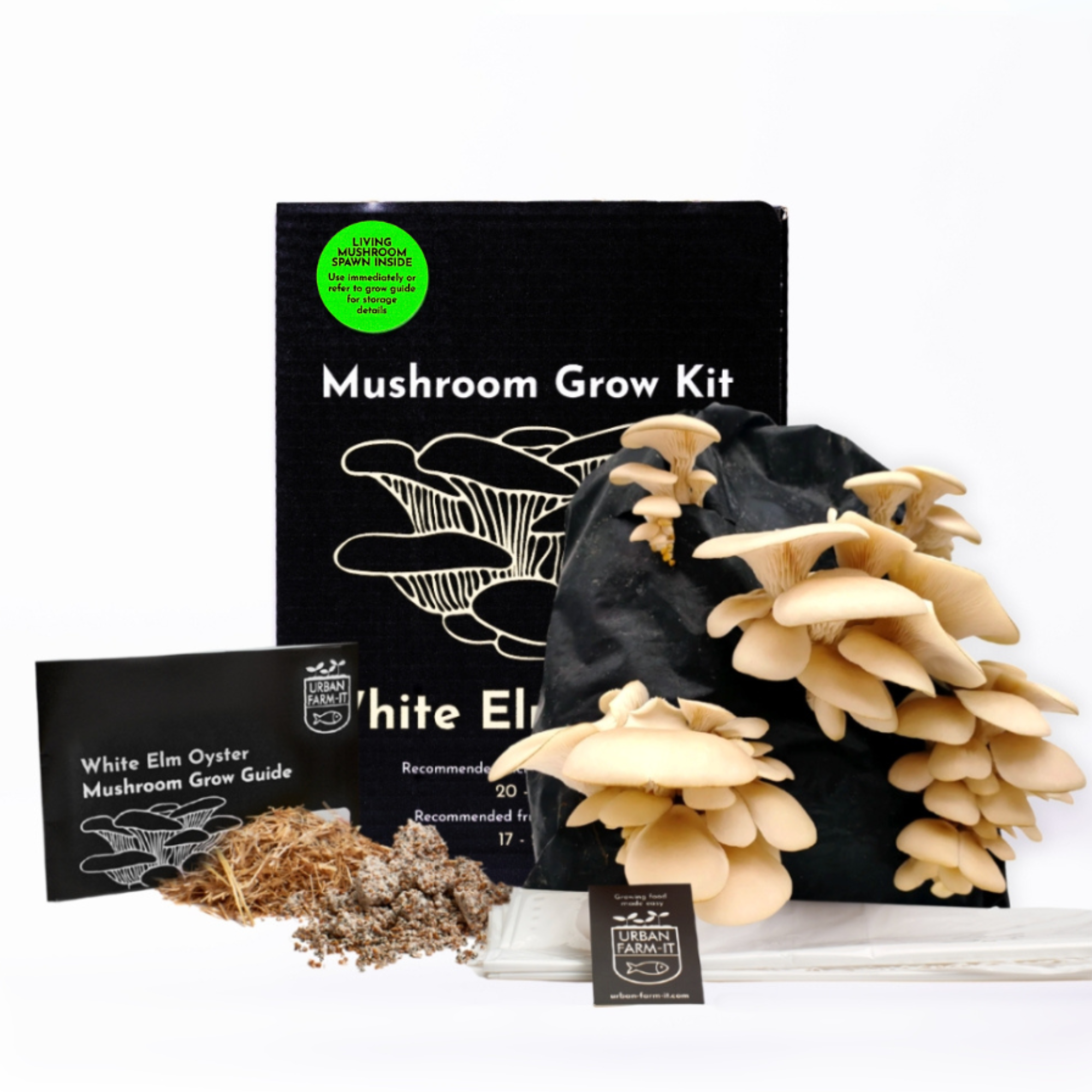 Oyster Mushroom Growing Kit