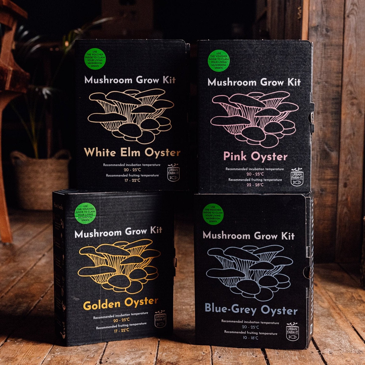 Oyster Mushroom Growing Kit Full Set