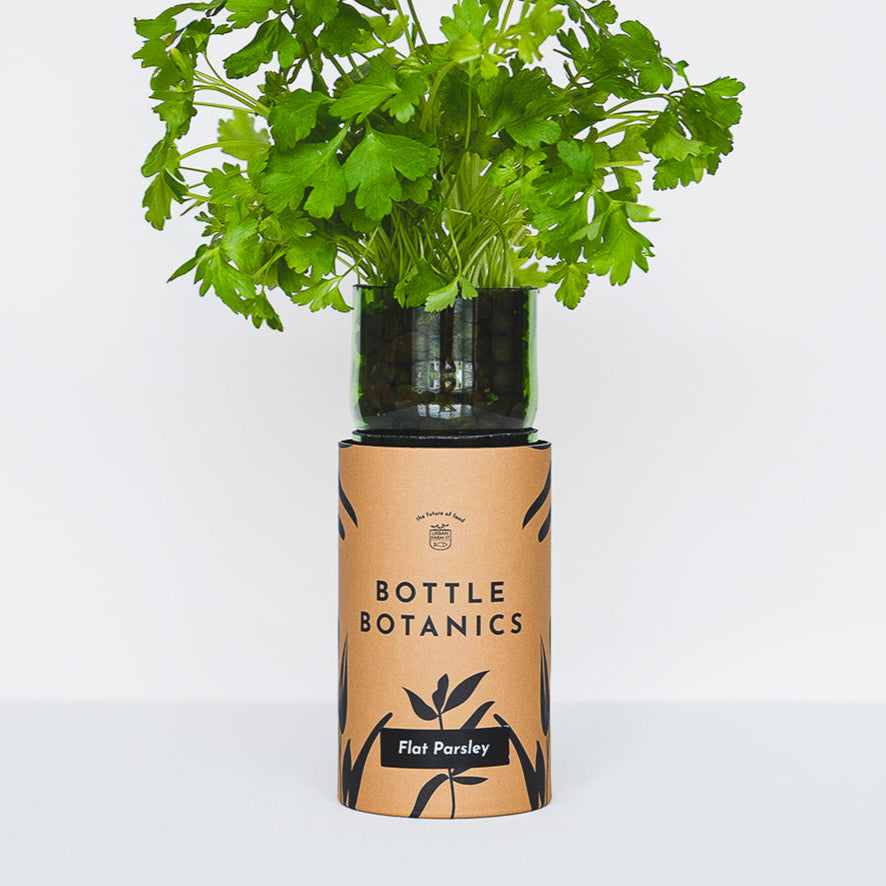 Bottle Botanics