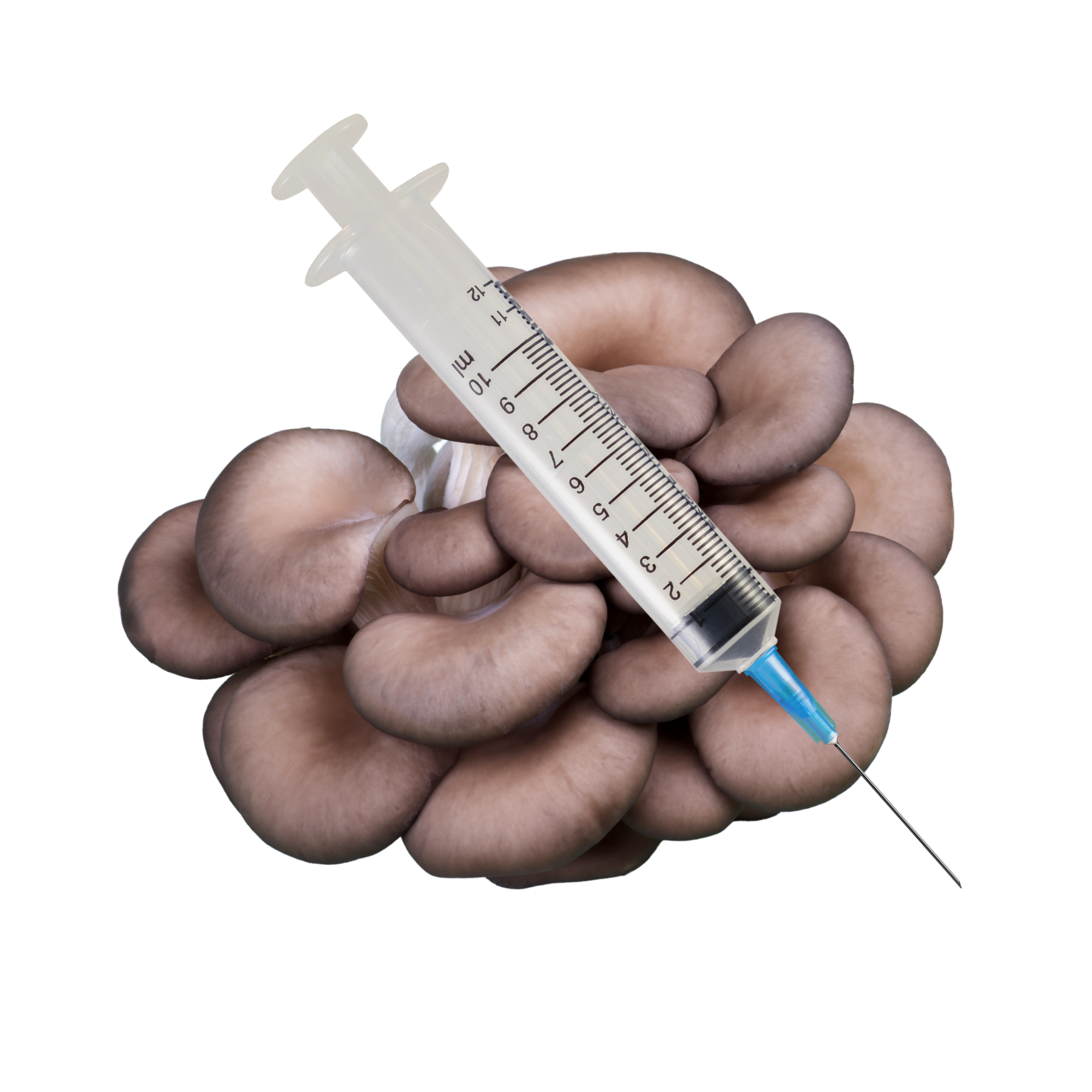 Premium Syringe Needle for Sustainable Mushroom Cultivation