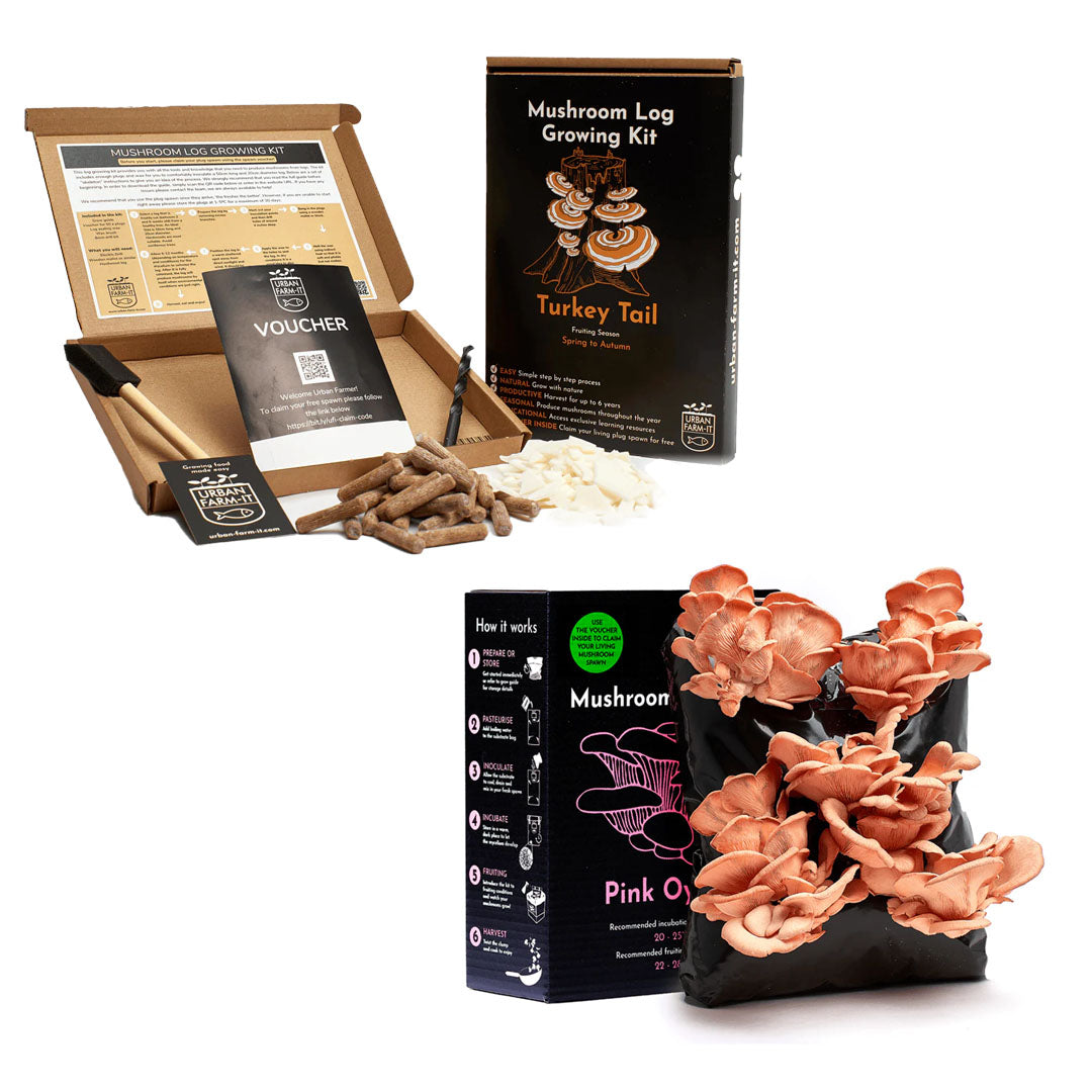Mushroom Kit Bundle - Choose Any 2 & Save