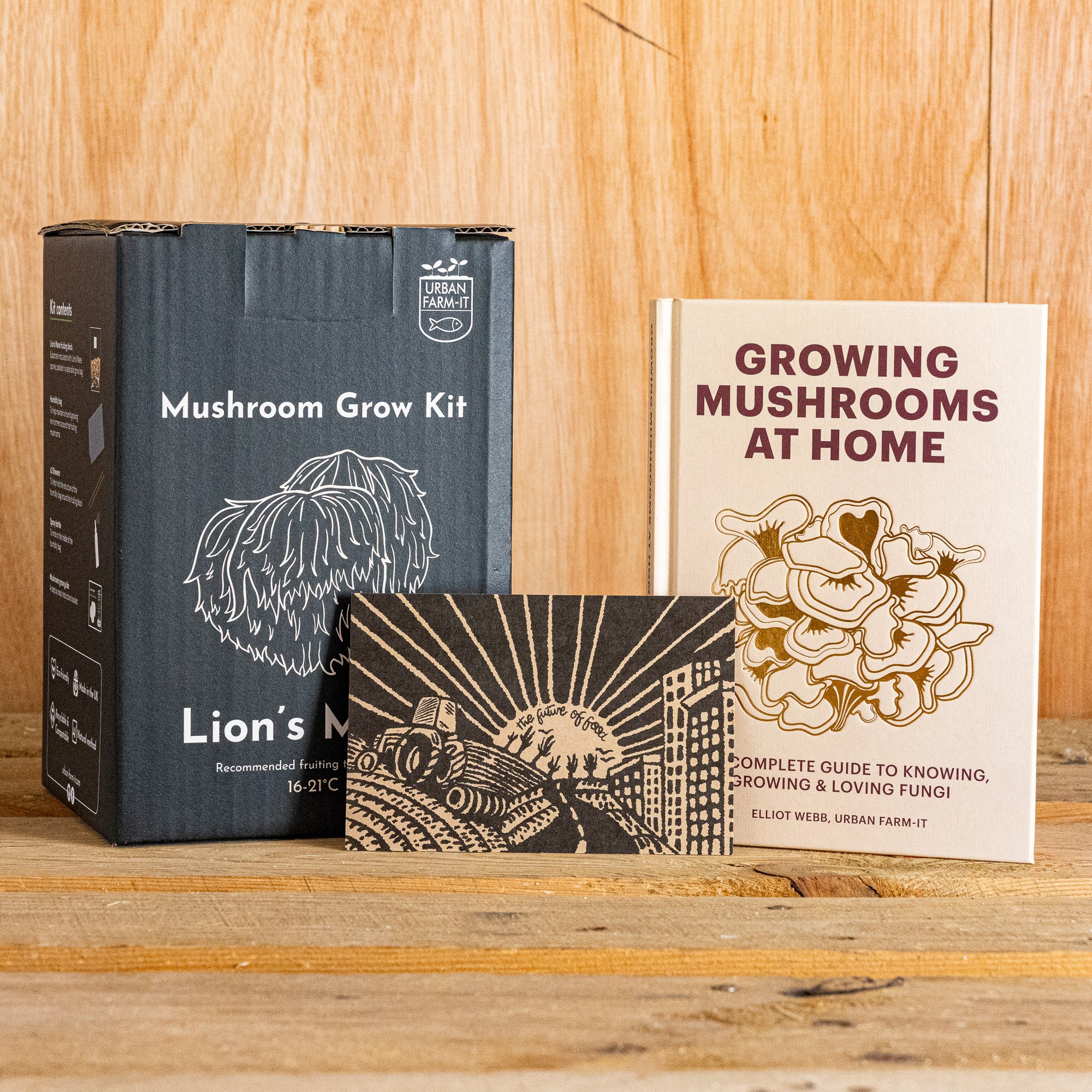 Lion's Mane Kit & Book