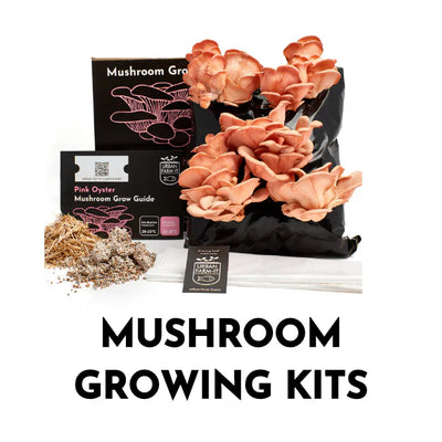 Mushroom Growing Kit Product Instructions