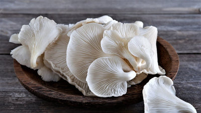 Do oyster mushrooms boost your immune system?