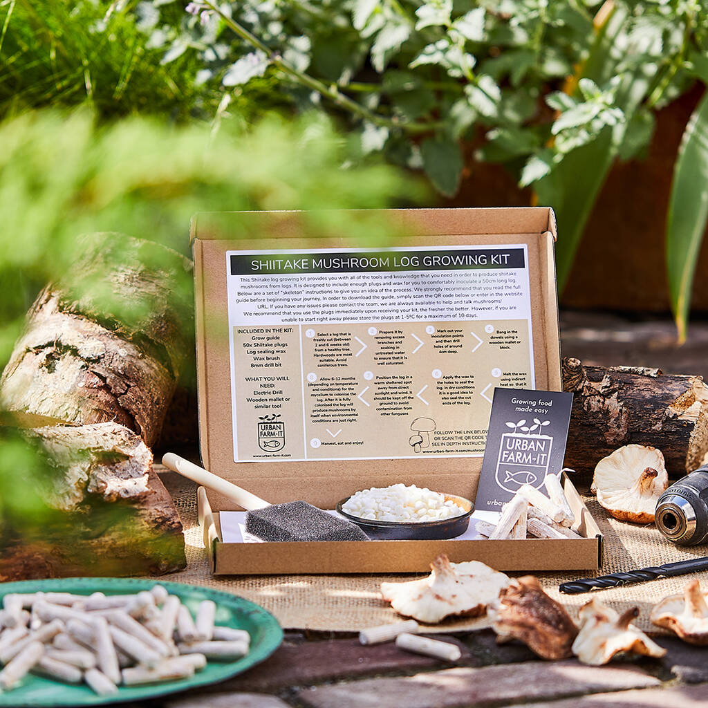 Buy Shiitake Mushroom Growing Kits UK | Grow Your Own Shiitake Mushroom ...