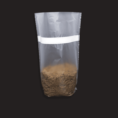 A Sac O2 Mushroom Growing Bag with Substrate