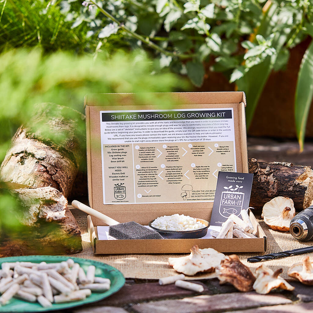 Shiitake Mushroom Log Growing Kit