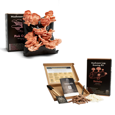 Mushroom Growing Kit - Twin Bundle (Gift Option)
