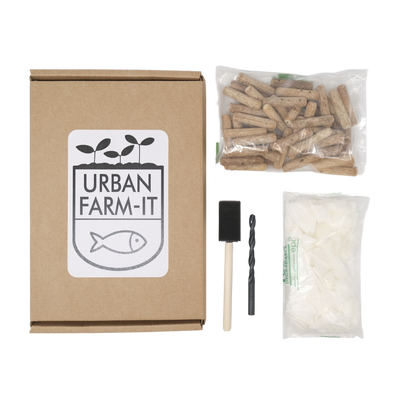Shiitake Mushroom Log Growing Kit