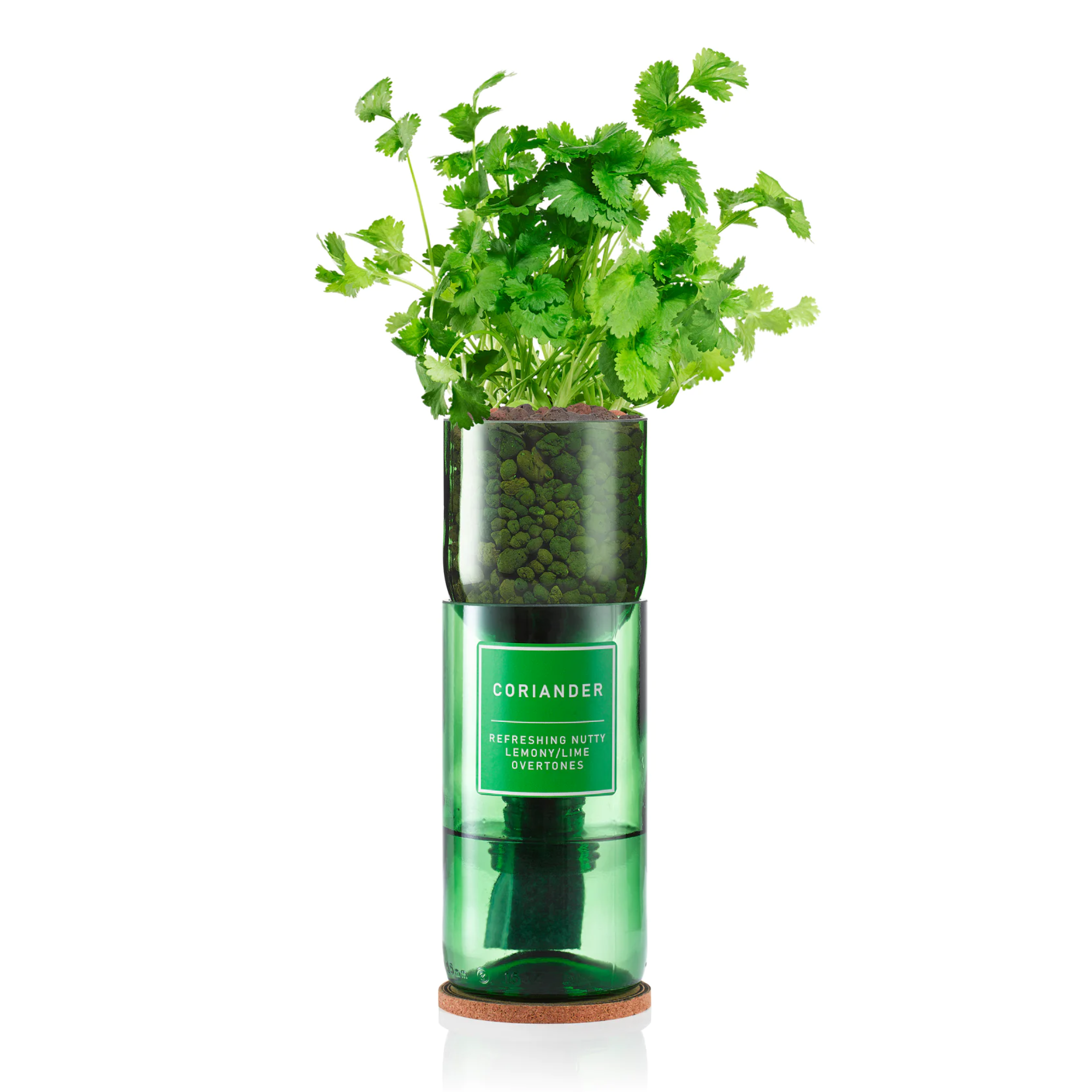 Hydro-Herb Coriander Kit