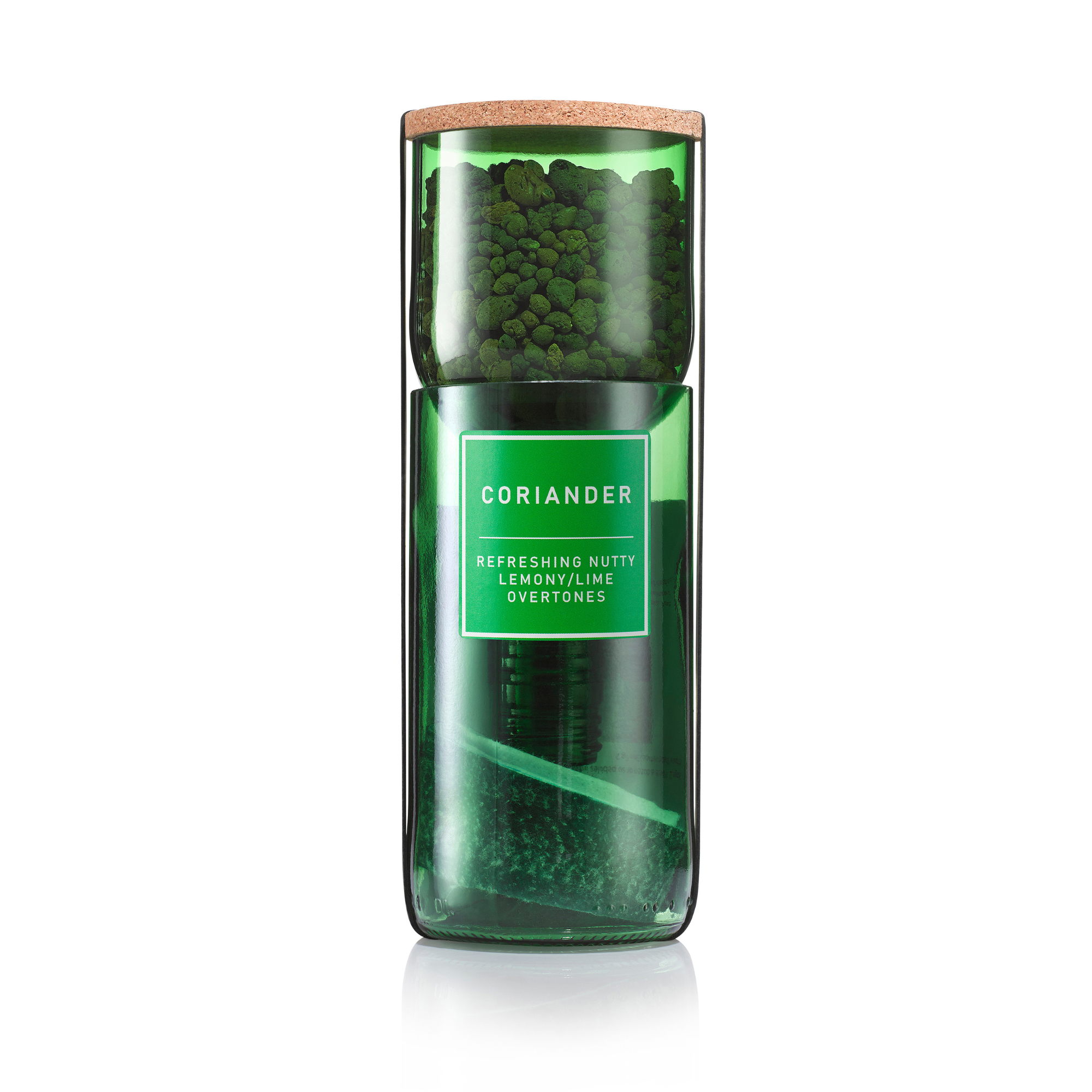 Hydro-Herb Coriander Kit