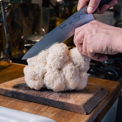 Fresh Lion's Mane