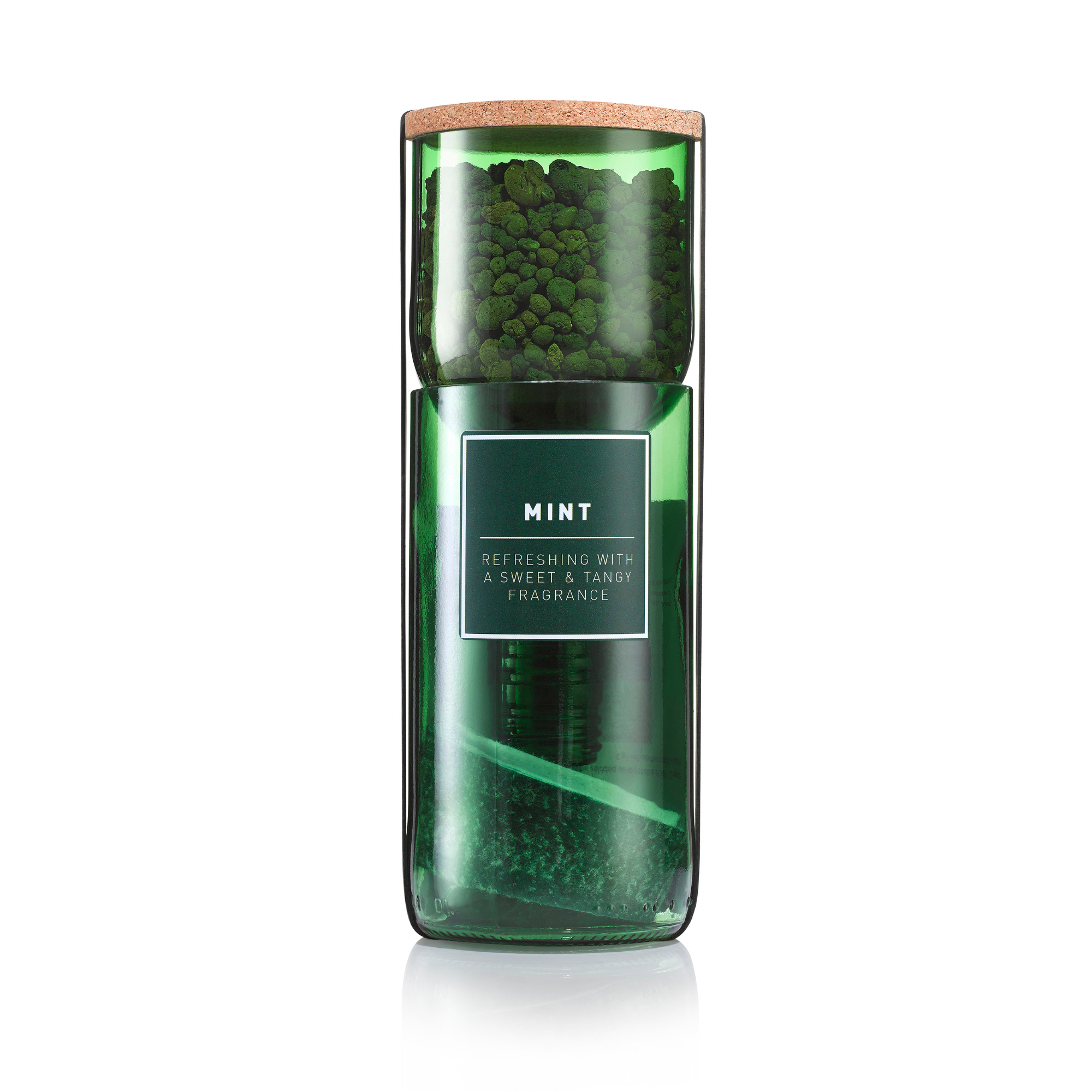 Hydro-Herb Mint Kit