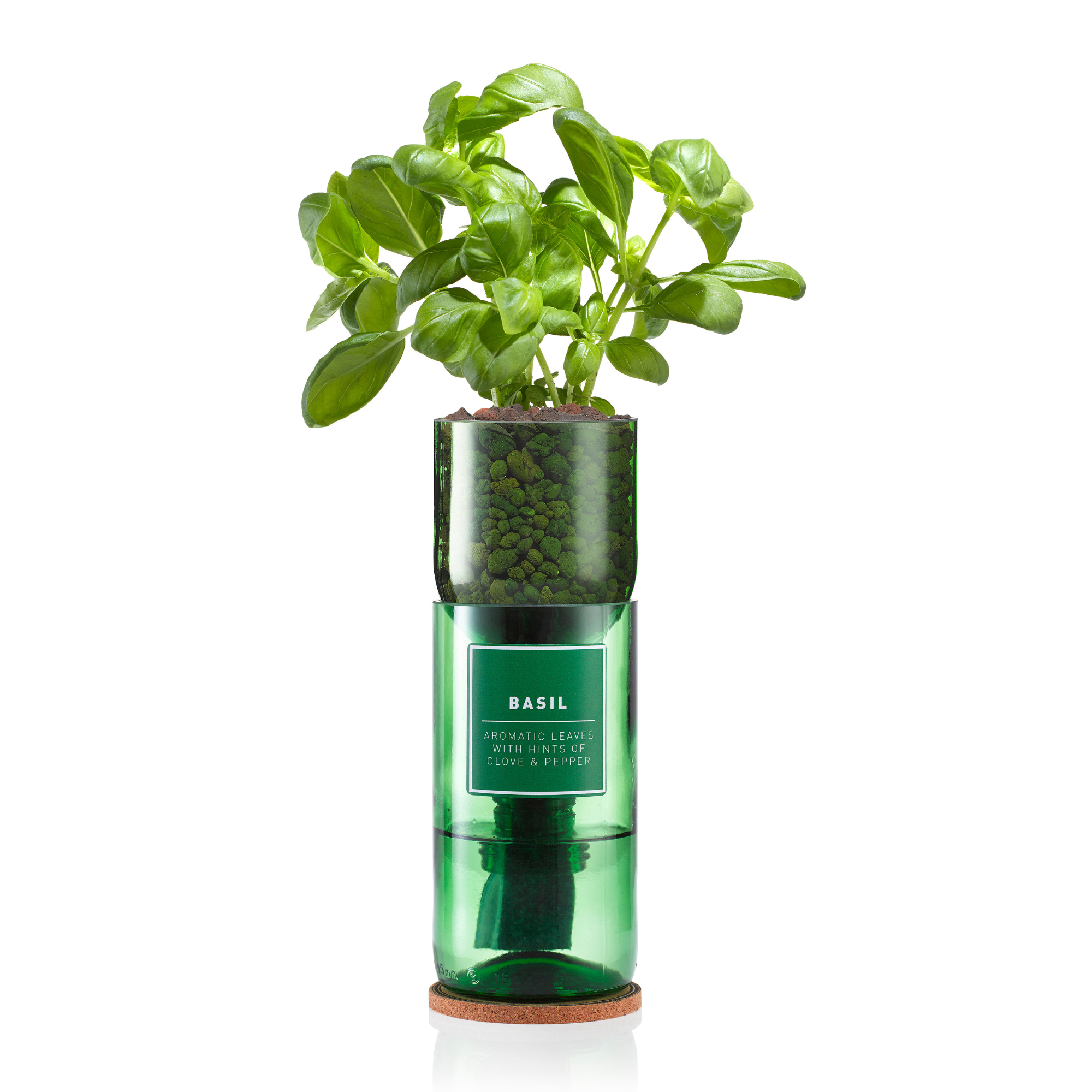 Hydro-Herb Basil Kit