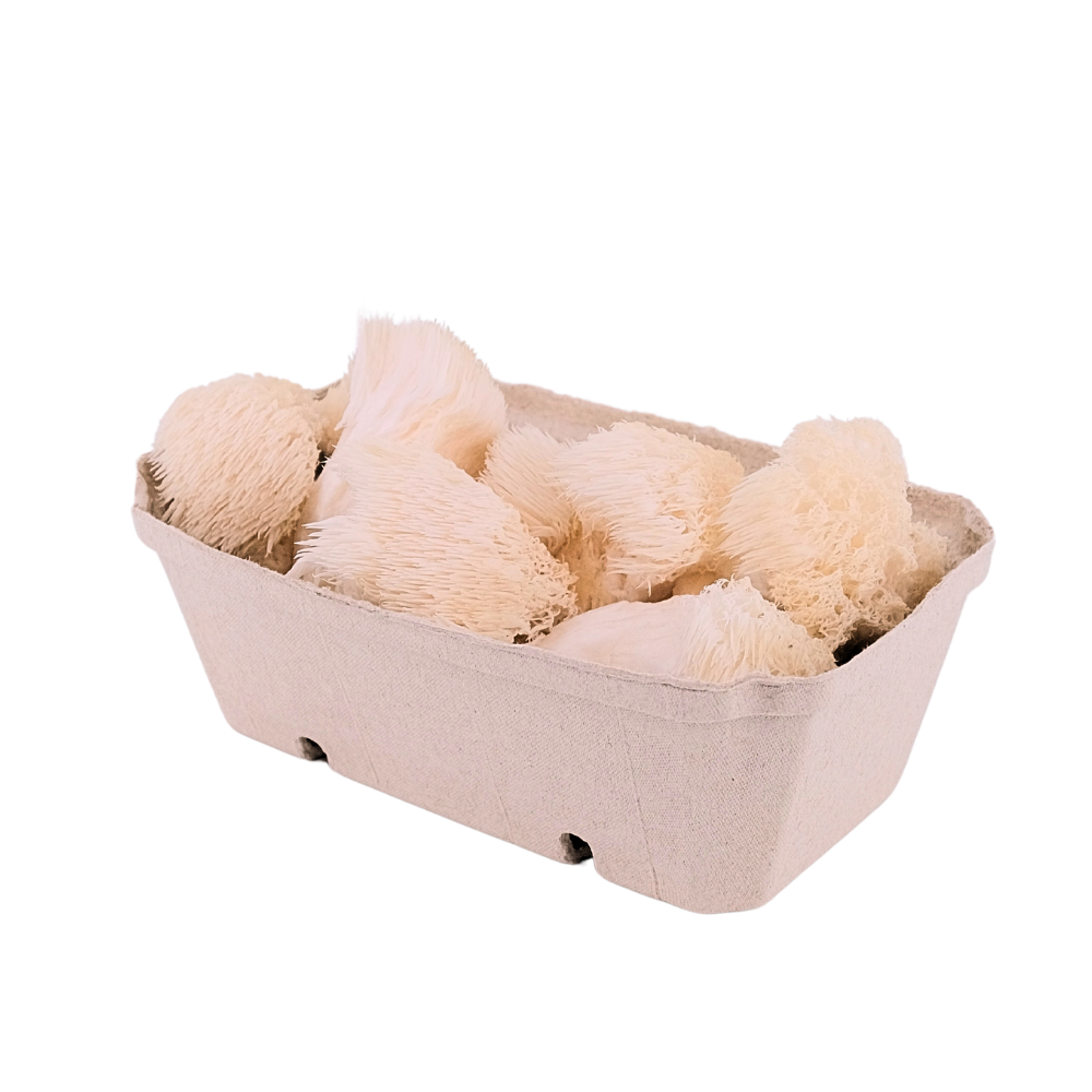 Basic Portion A