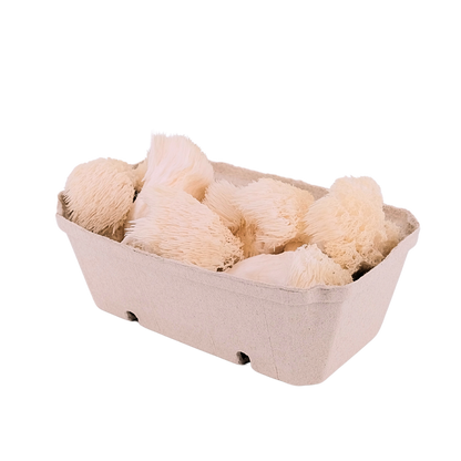 Basic Portion A