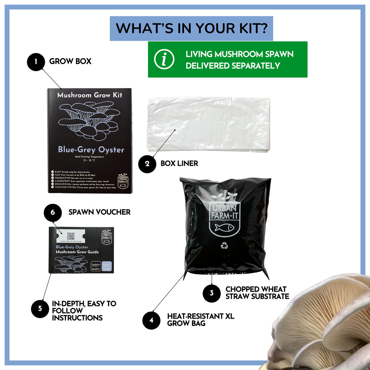 Oyster Mushroom Growing Kit – Gift Option