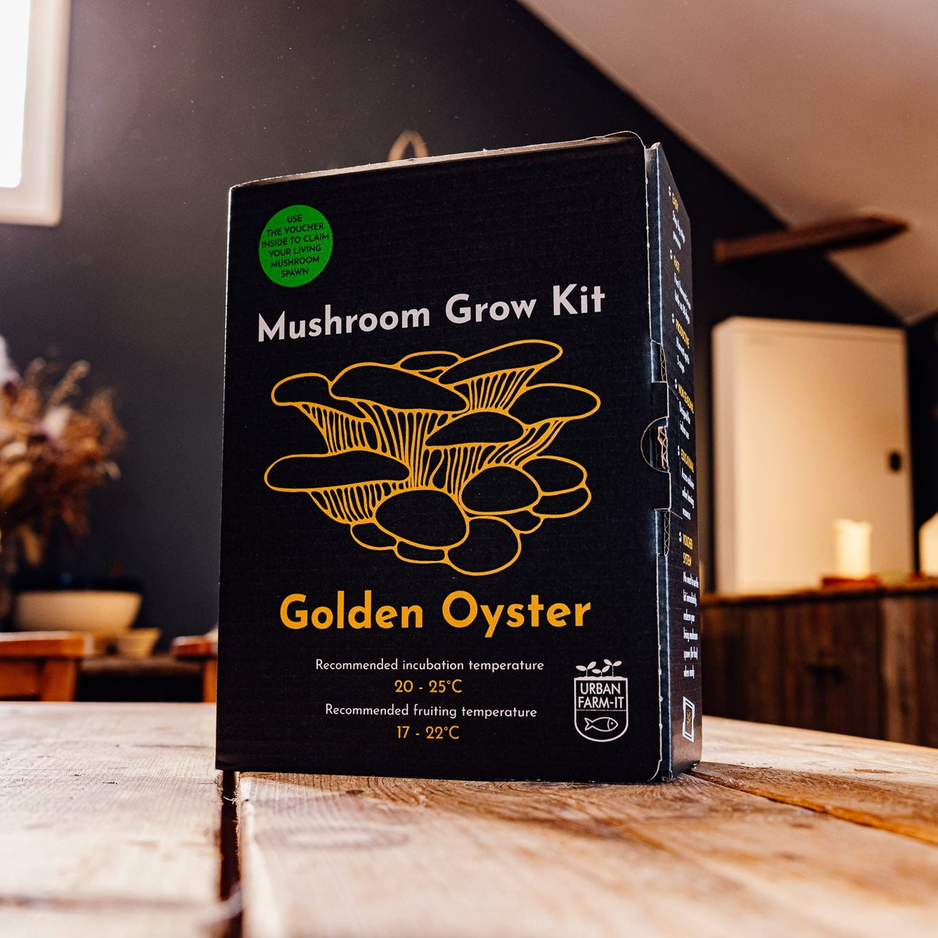 Yellow-Gold Oyster Mushroom Growing Kit