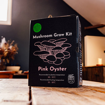 Pink Oyster Mushroom Growing Kit