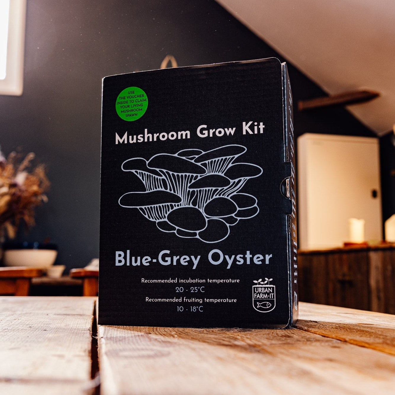 Blue-Grey Oyster Mushroom Growing Kit