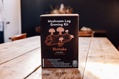 Shiitake Mushroom Log Growing Kit