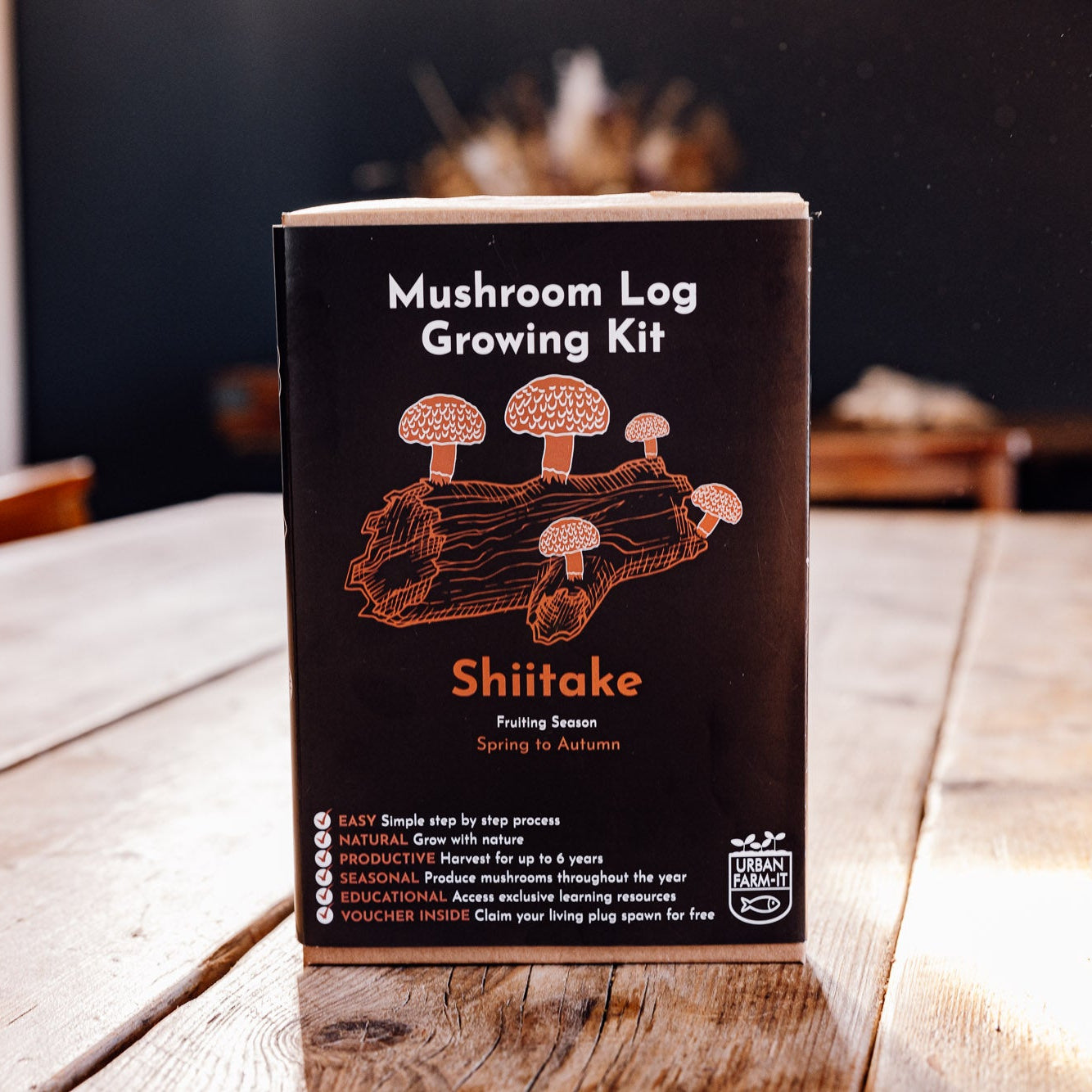 Shiitake Mushroom Log Growing Kit - Gift Option