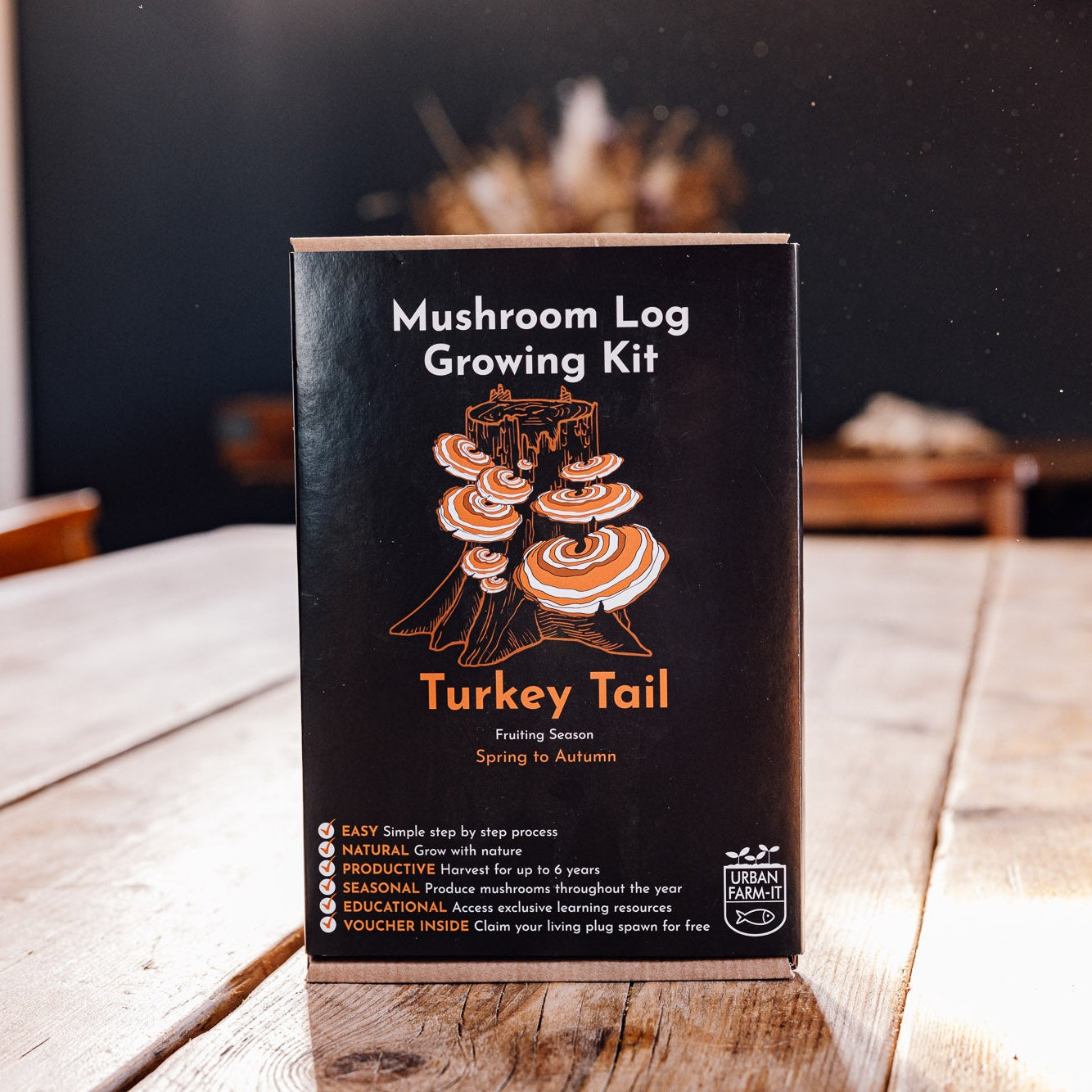 Turkey Tail Mushroom Log Growing Kit - Gift Option