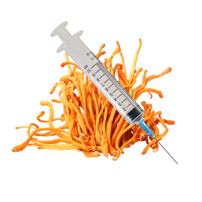 Cordyceps Mushroom Liquid Culture