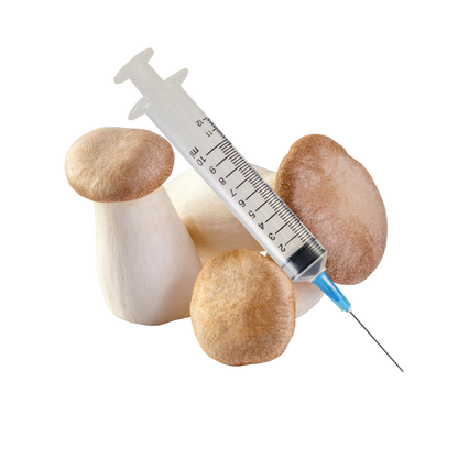 King Oyster Mushroom Liquid Culture