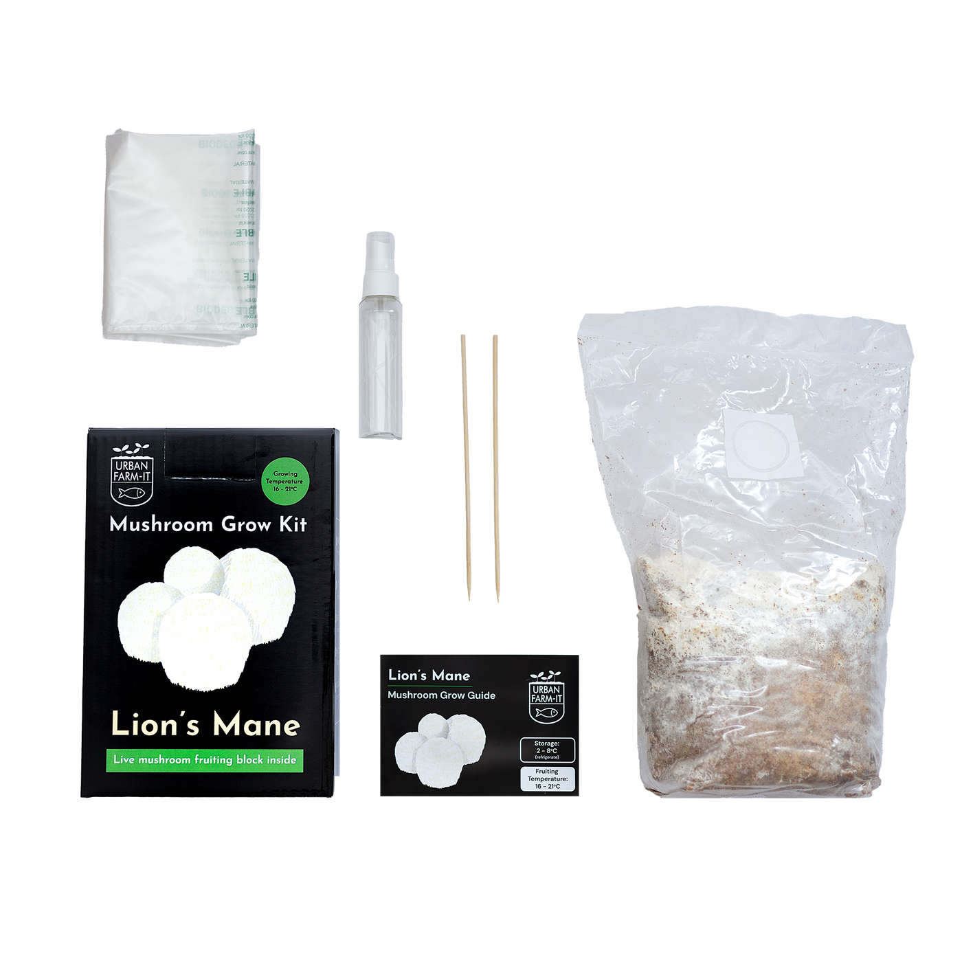 Lion's Mane Mushroom Growing Kit