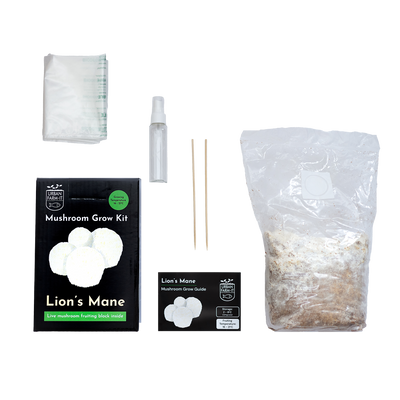 Lion's Mane Mushroom Growing Kit