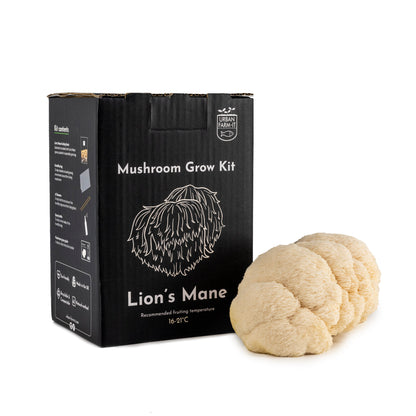The Beginner's Mushroom Growing Kit
