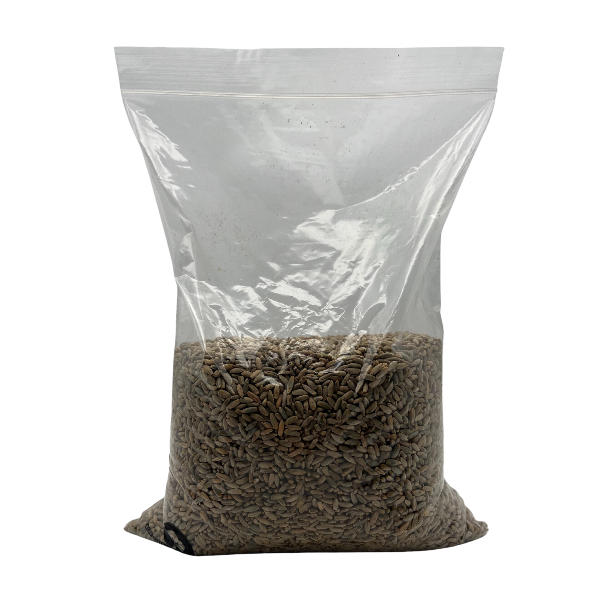 Rye Grain