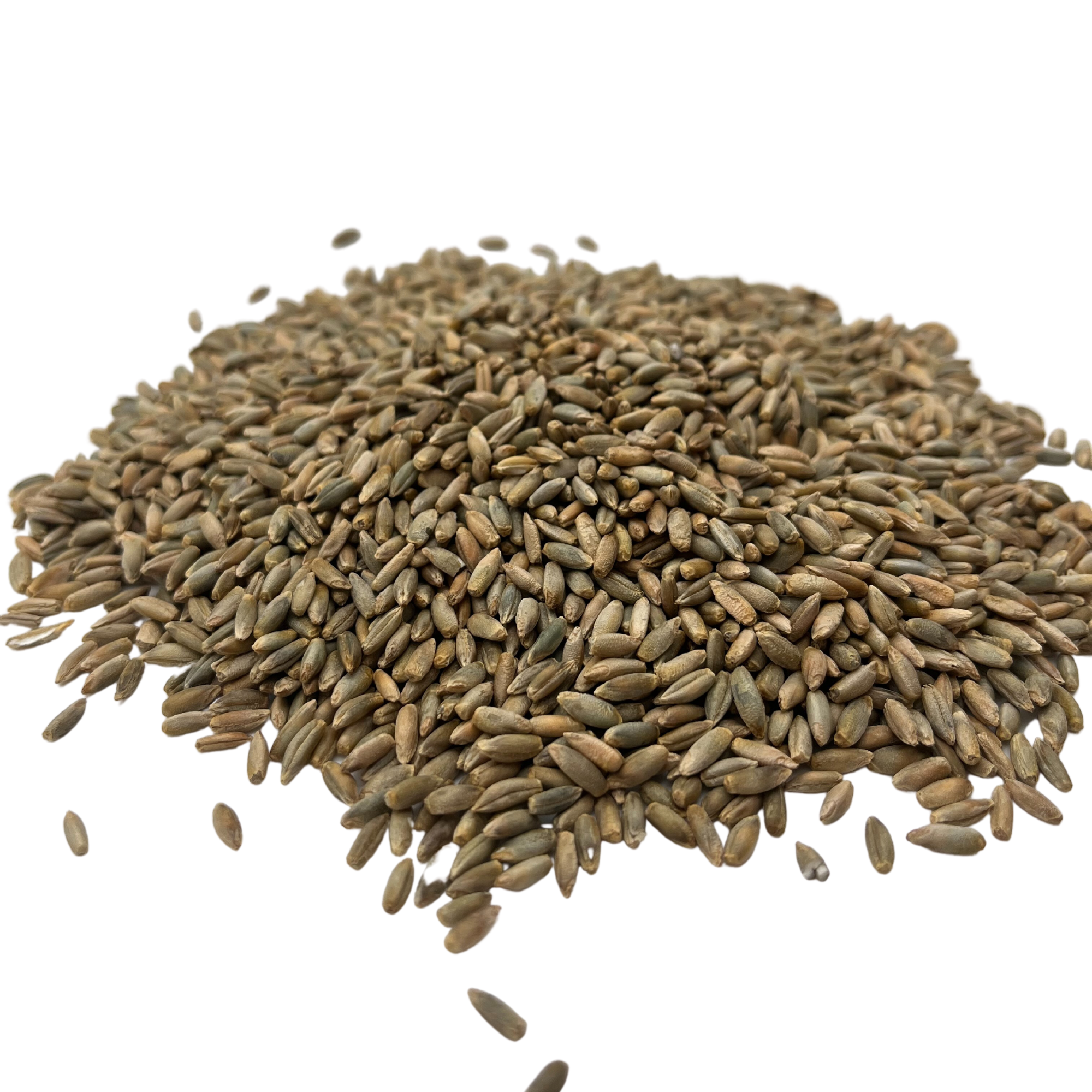 Rye Grain