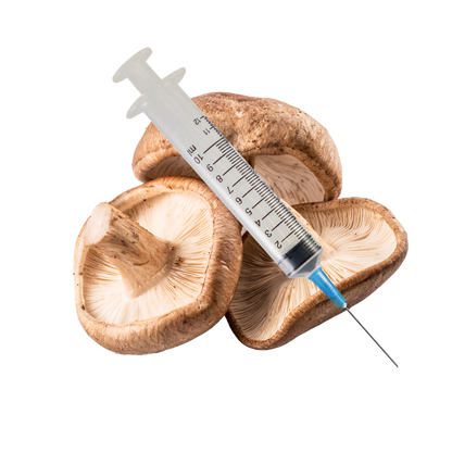 Shiitake Mushroom Liquid Culture