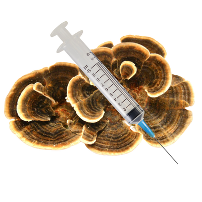 Turkey Tail Mushroom Liquid Culture