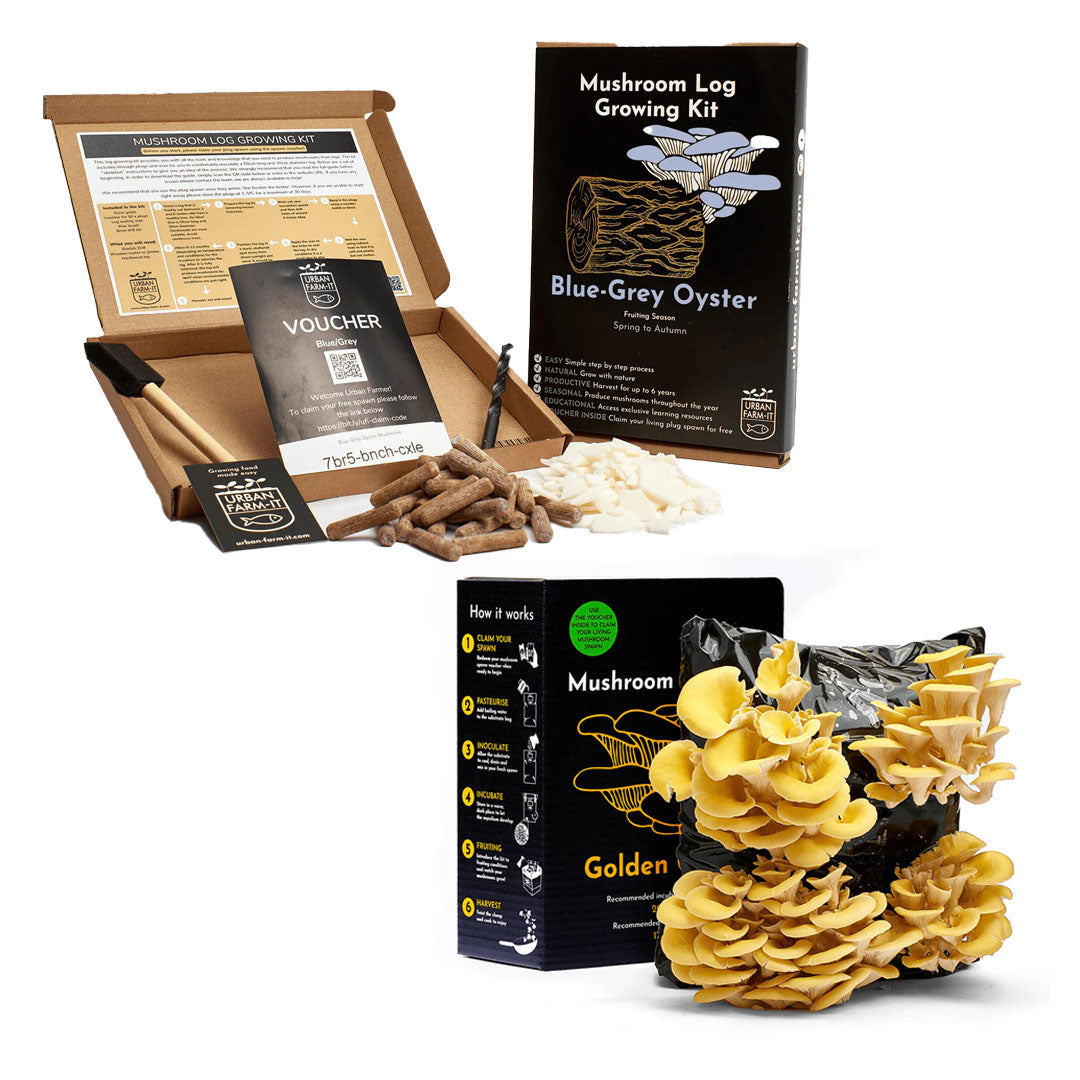 Mushroom Kit Bundle - Choose Any 2 & Save