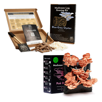 Mushroom Kit Bundle - Choose Any 2 & Save