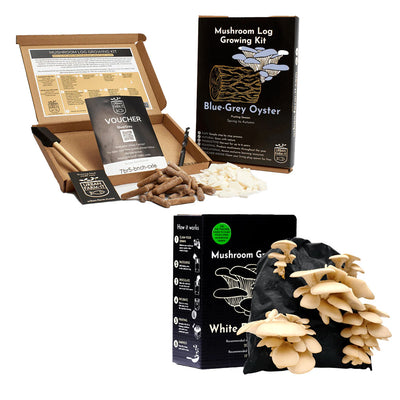 Mushroom Kit Bundle - Choose Any 2 & Save