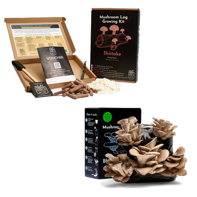 Mushroom Kit Bundle - Choose Any 2 & Save