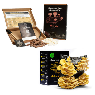 Mushroom Kit Bundle - Choose Any 2 & Save