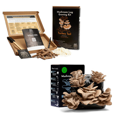 Mushroom Kit Bundle - Choose Any 2 & Save