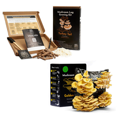 Mushroom Kit Bundle - Choose Any 2 & Save